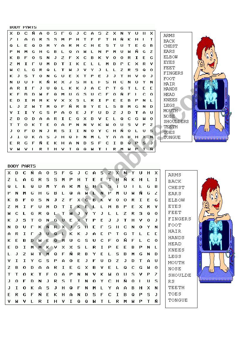 BODY PARTS worksheet