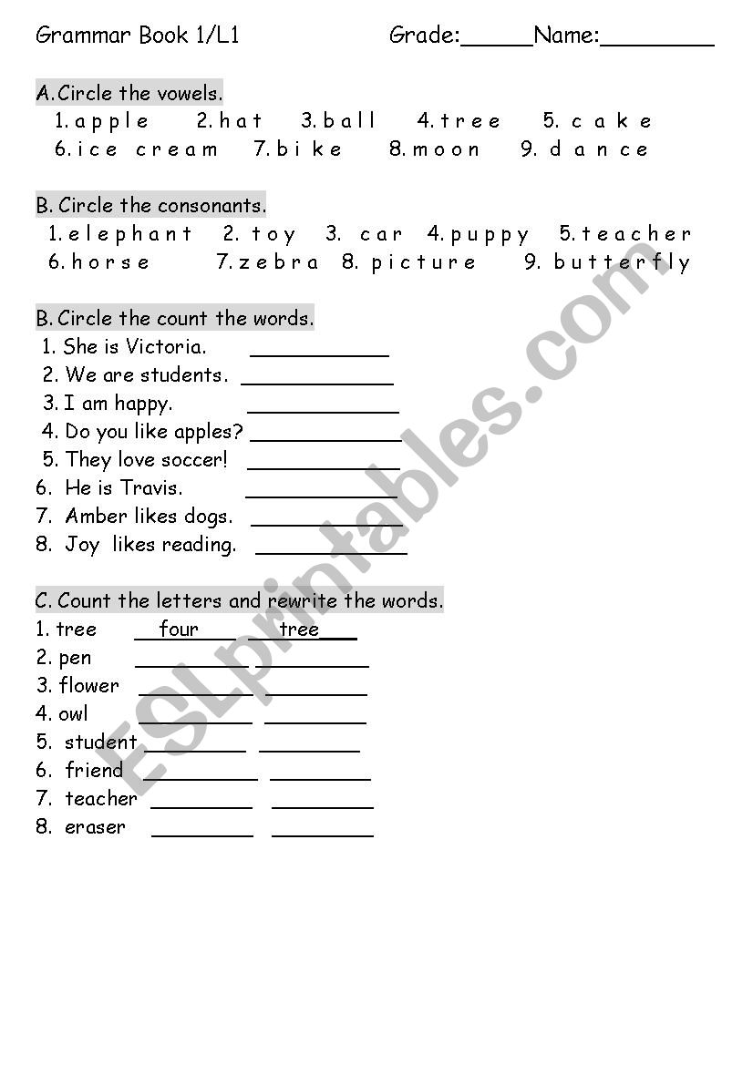 grammar worksheet