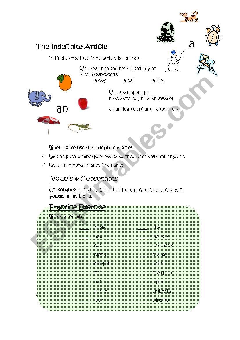 The Indefinite Article worksheet