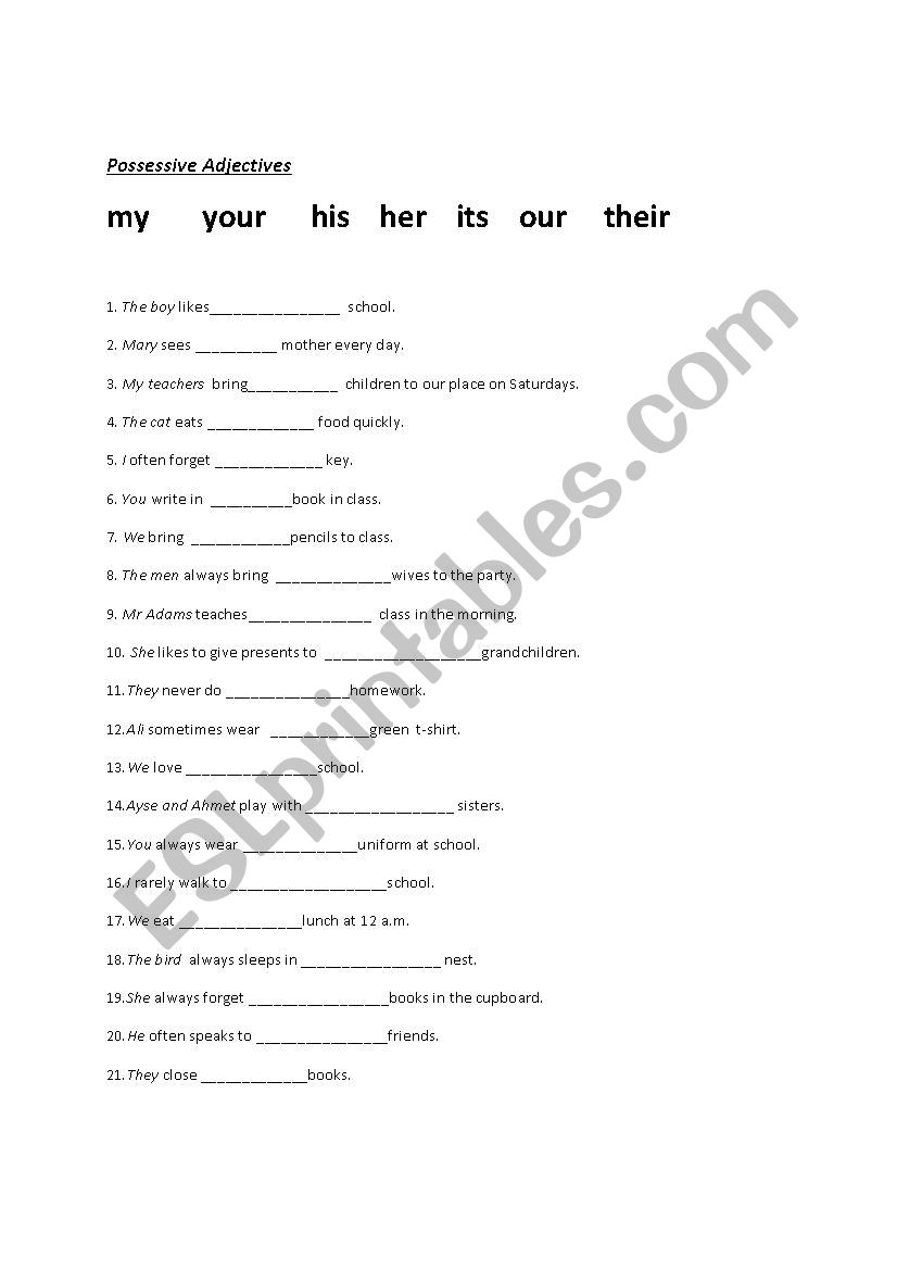 Possesive Adjectives worksheet