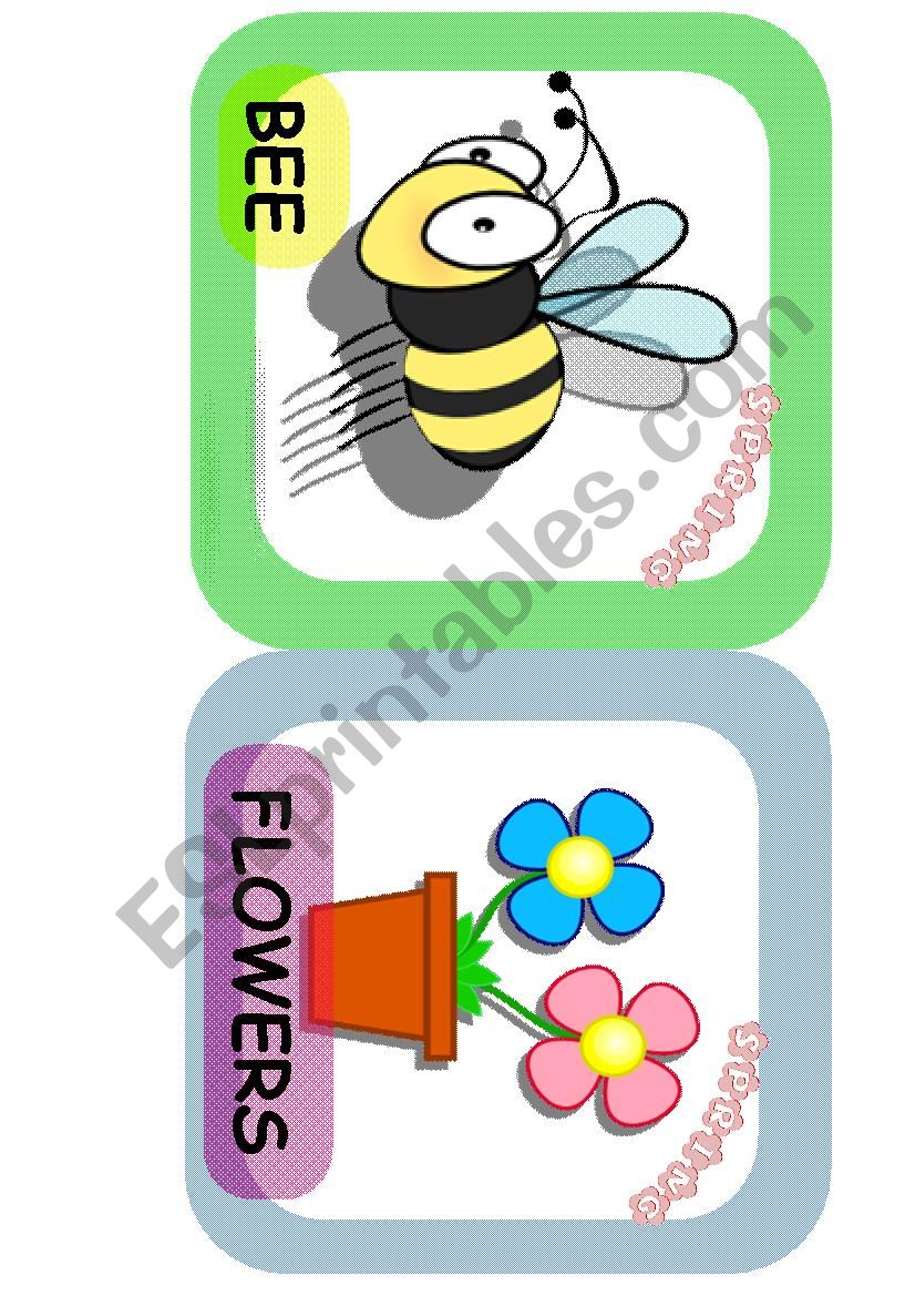 Spring flashcards worksheet