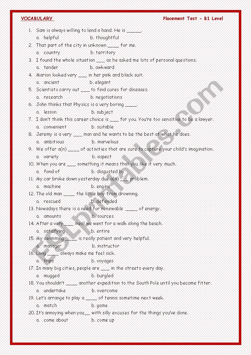 Placement Test B1+ Level worksheet