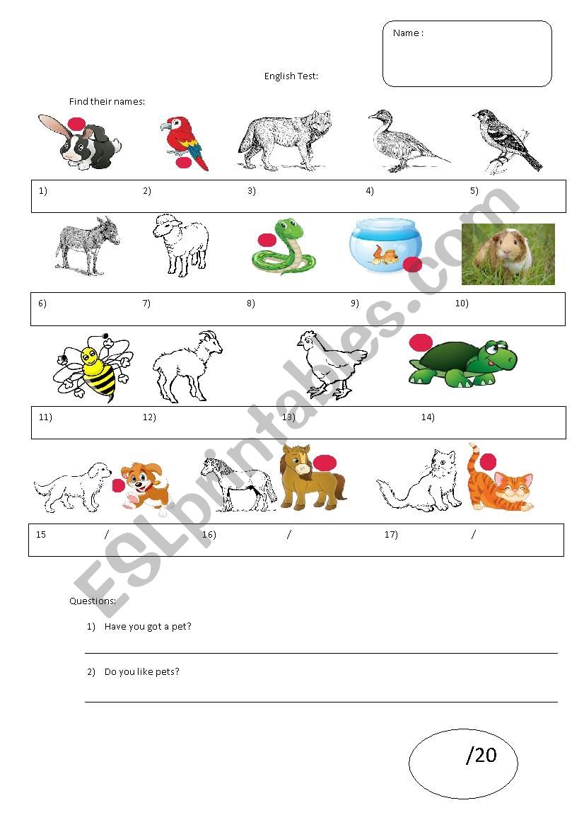 test: pets worksheet