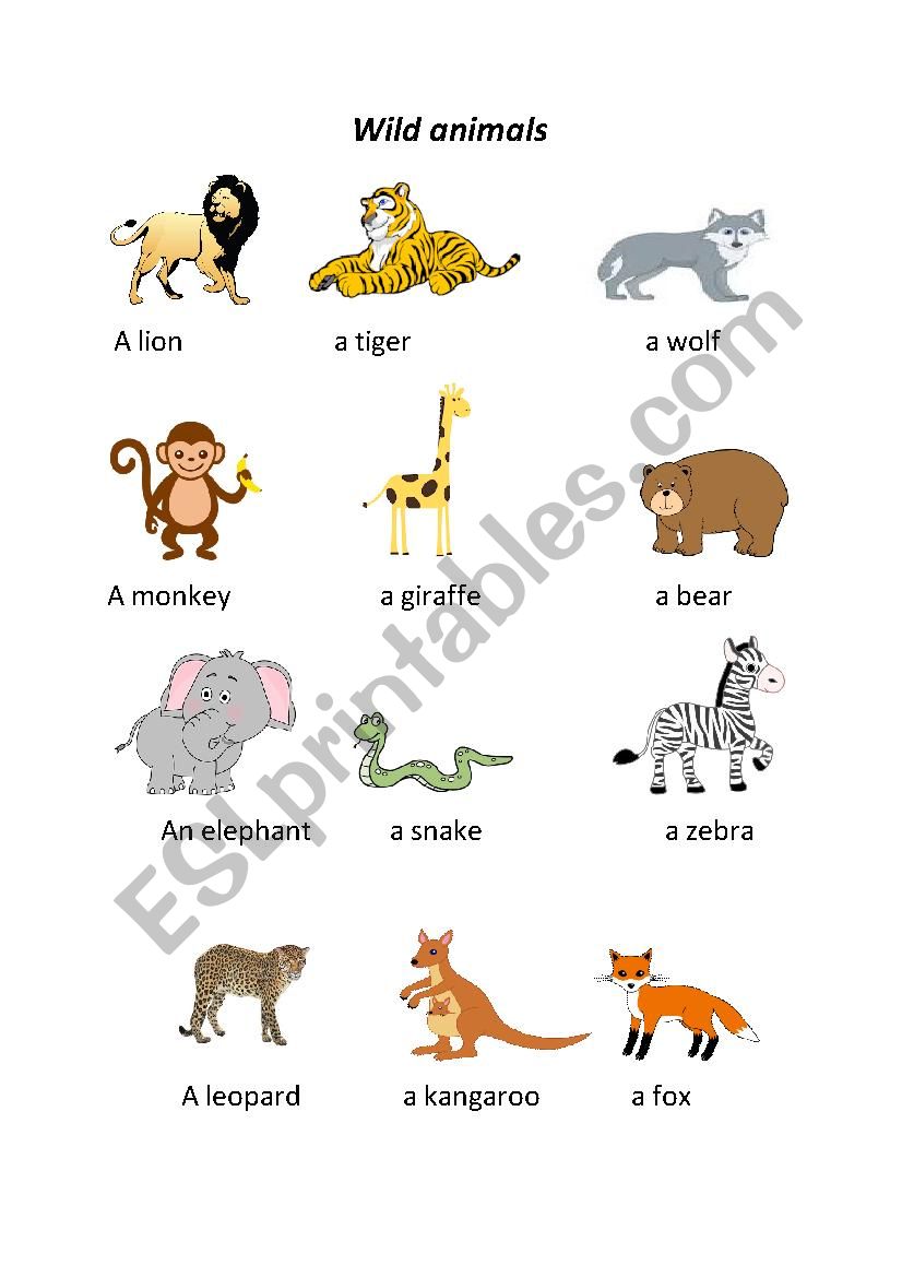 WILD ANIMALS worksheet