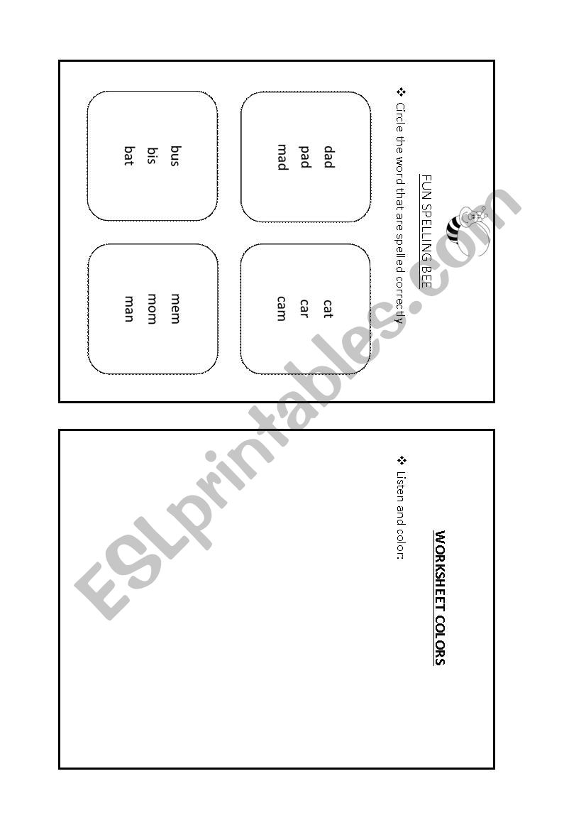 Spelling Words worksheet