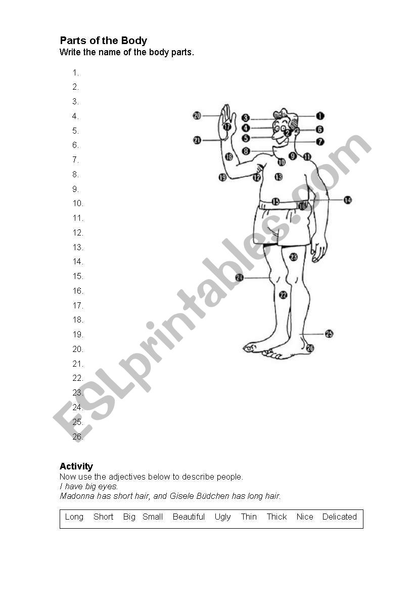 Parts of the Body worksheet