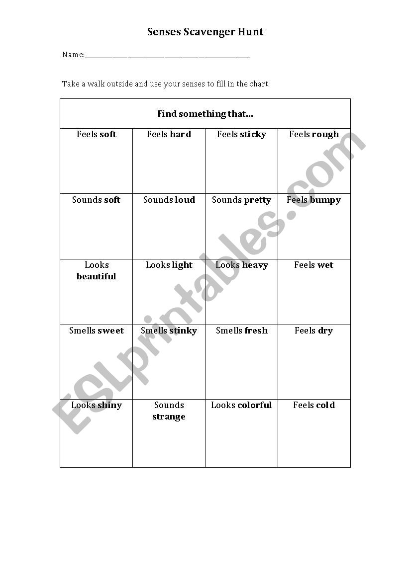 Senses Scavenger Hunt worksheet