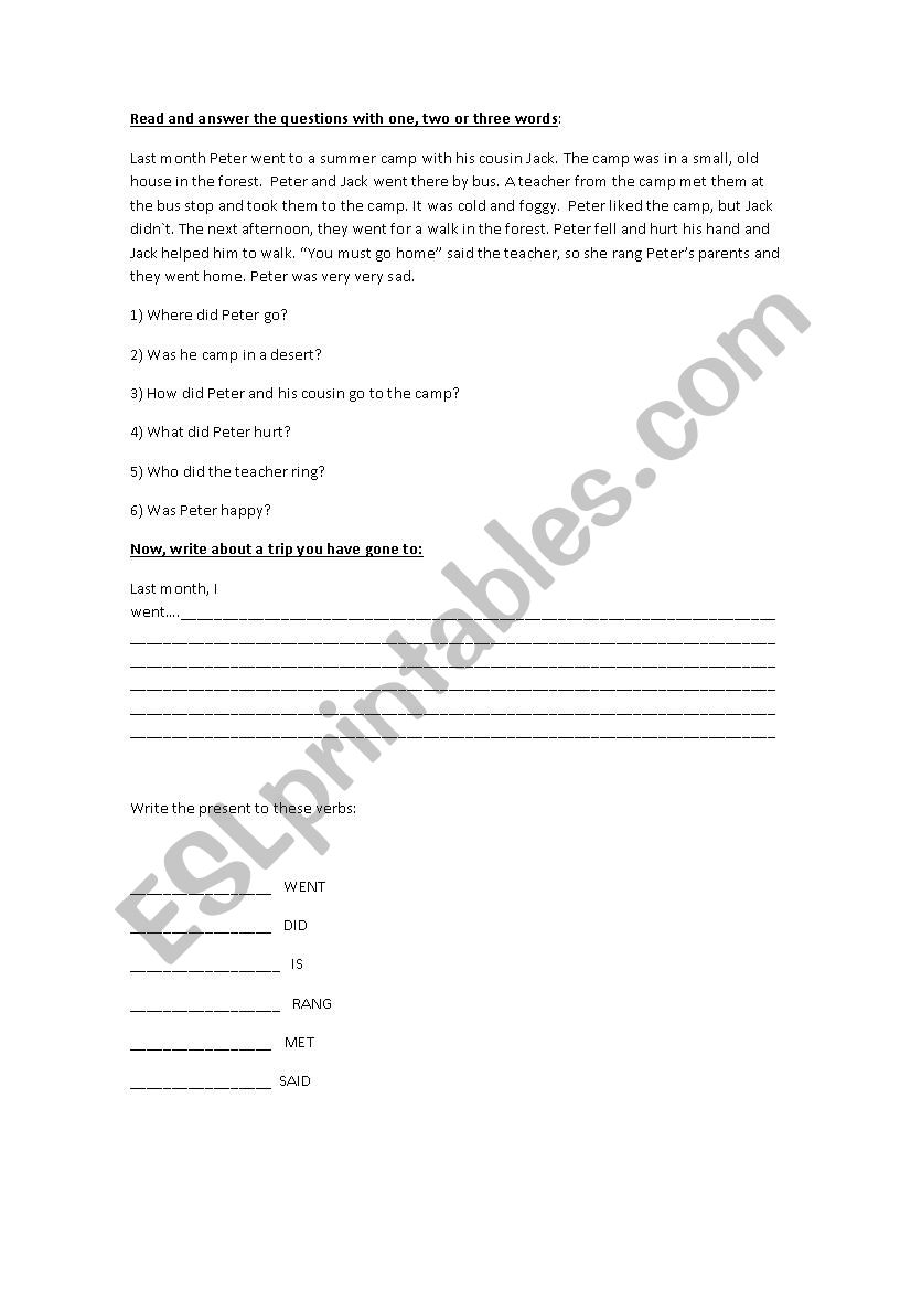 Past simple for children worksheet