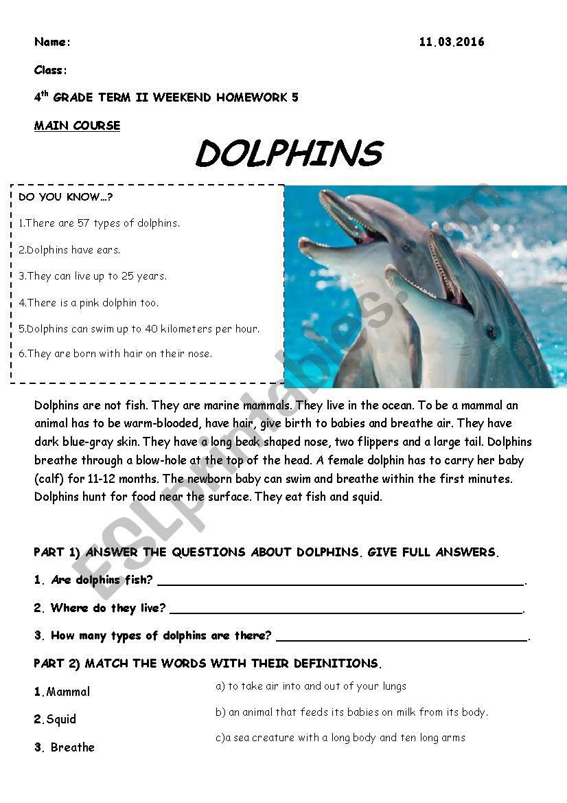 prepositions, reading about dolphins