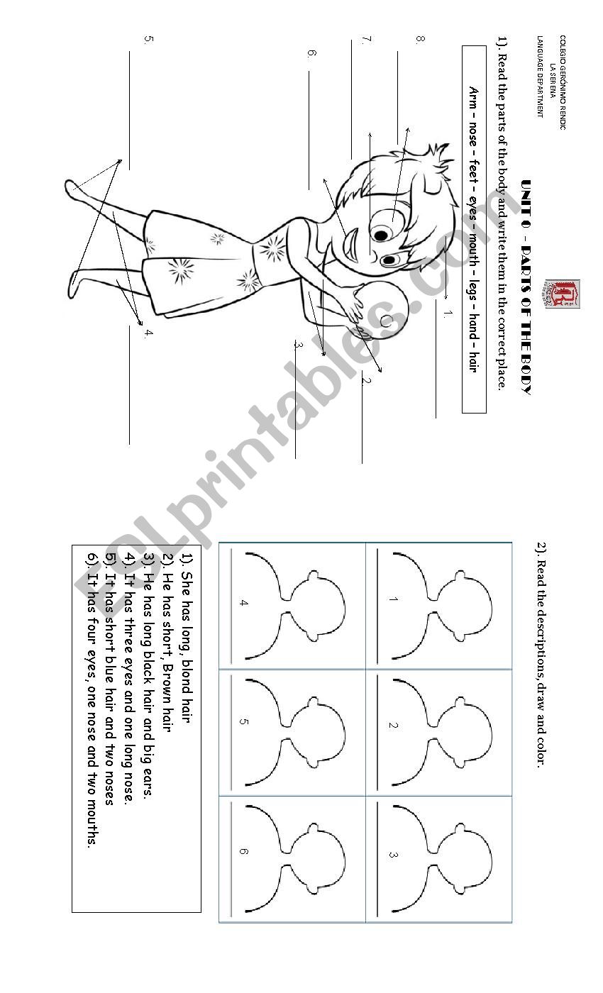 parts of the body worksheet