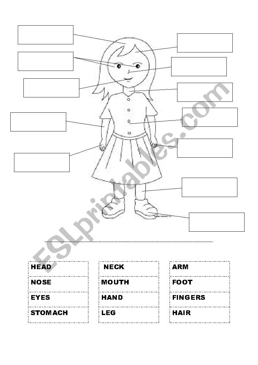 Label body parts worksheet