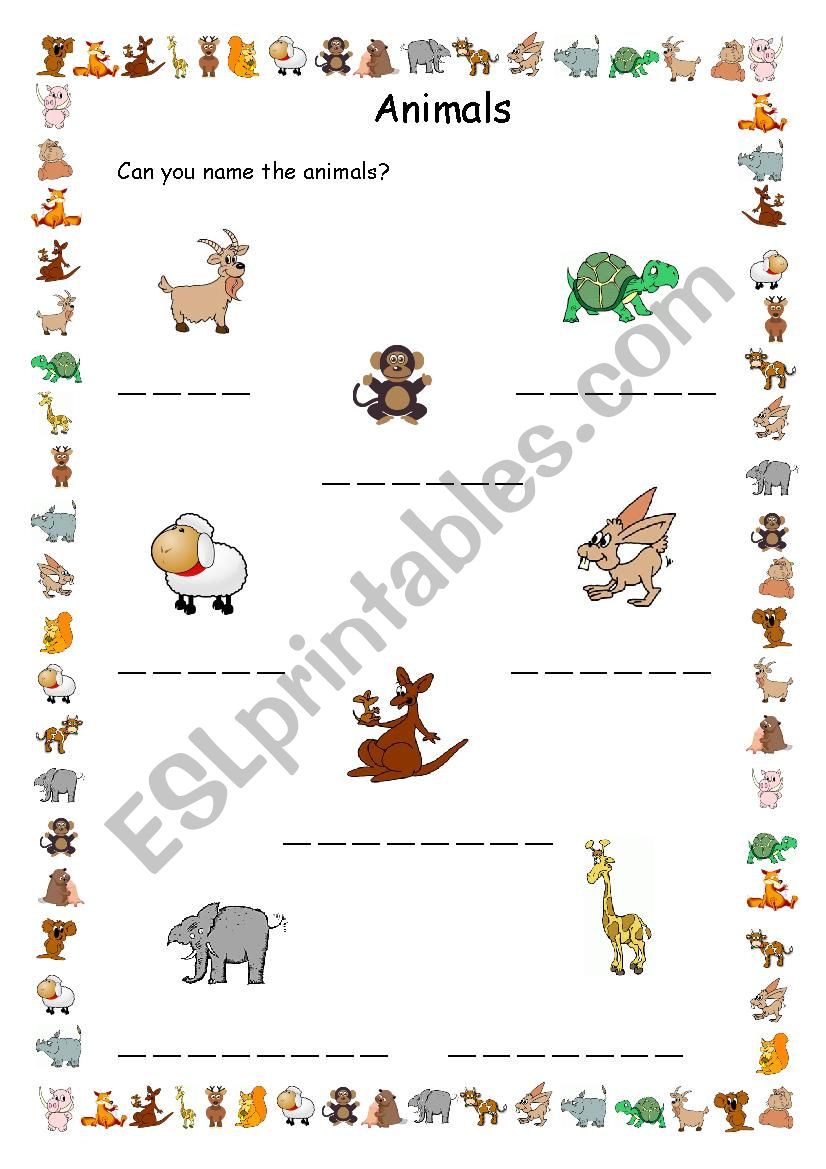 Animals worksheet