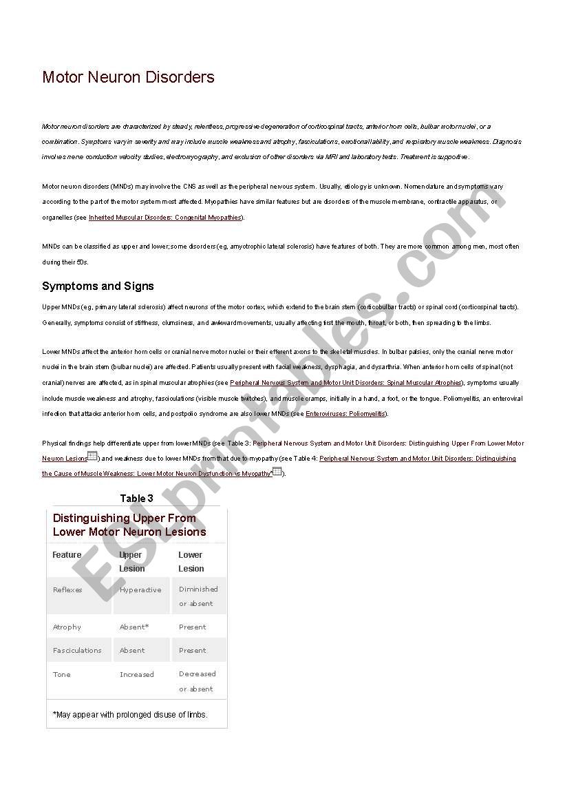 motors worksheet