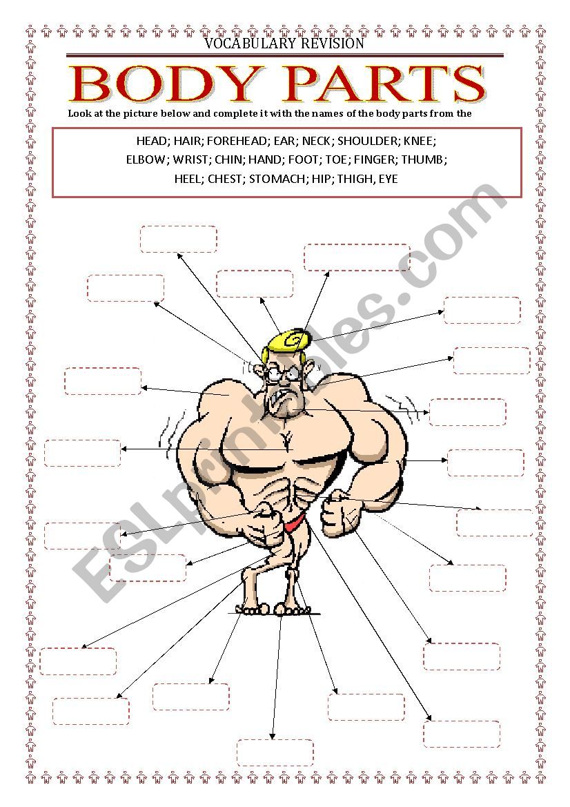 Vocabulary Revision - body parts 1