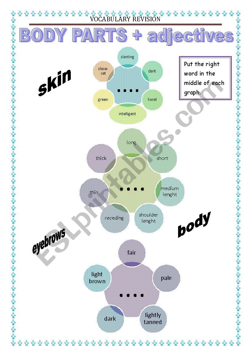 Vocabulary Revision - body parts 2