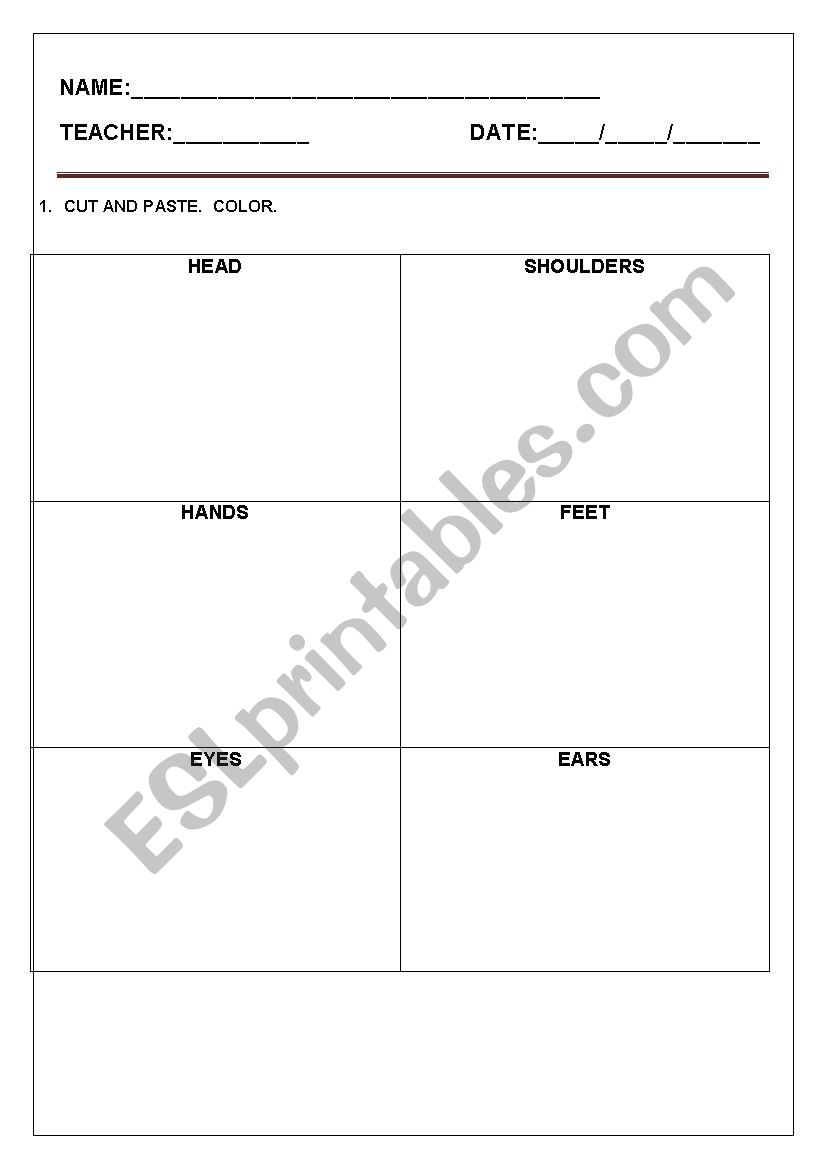 Parts of the body worksheet