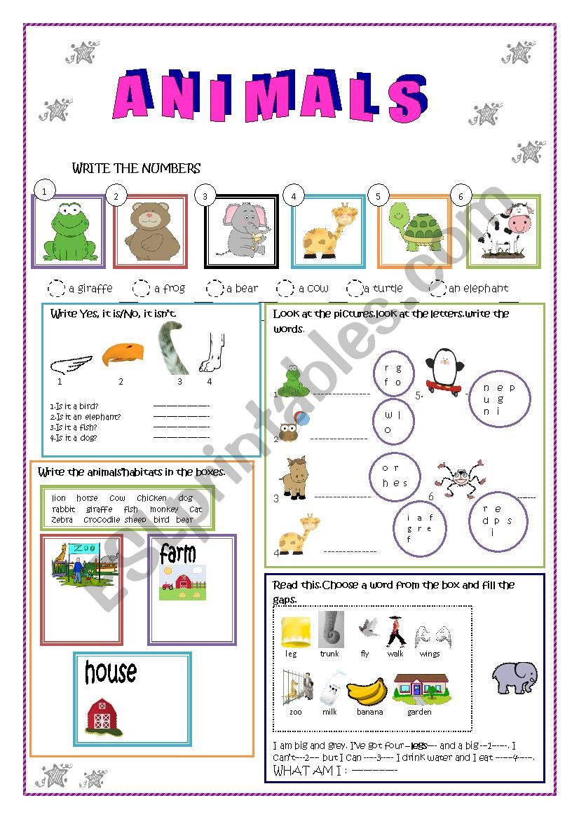 ANIMALS worksheet