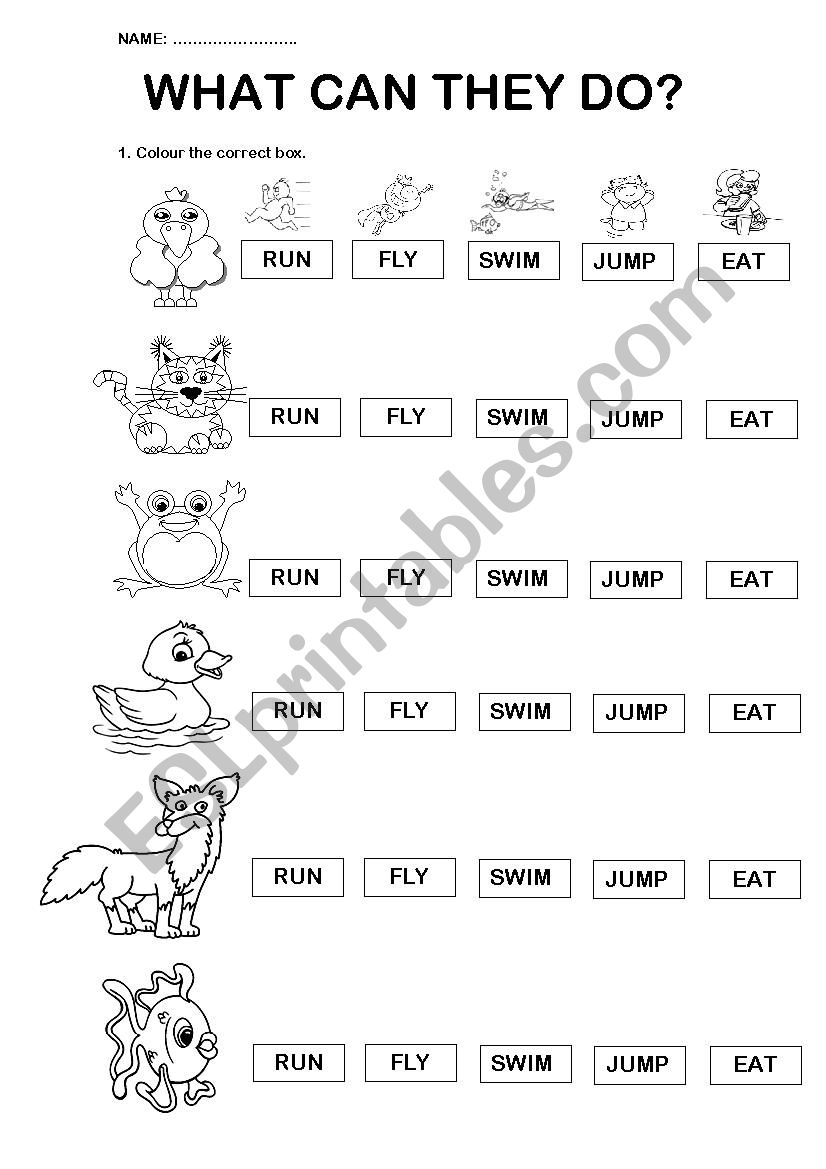 What can they do? worksheet