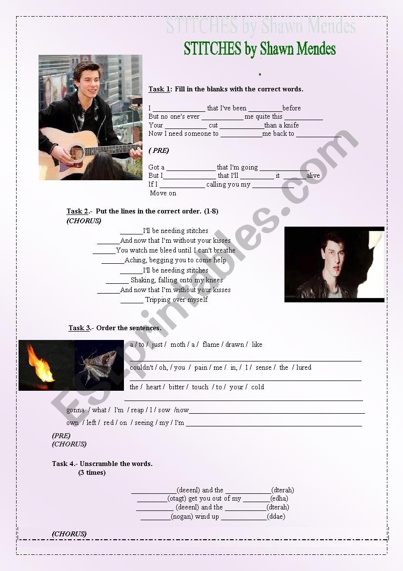 Stitches by Shawn Mendes worksheet