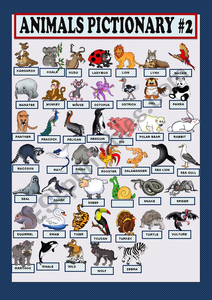 Animal pictionary part 2 worksheet
