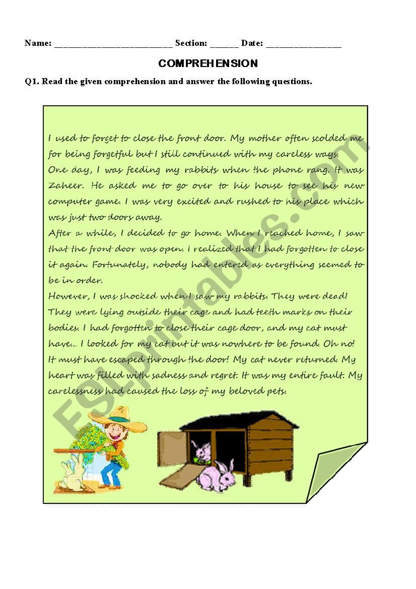 Comprehension worksheet