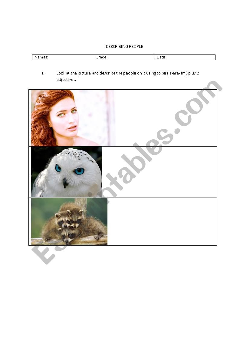 Describing People worksheet