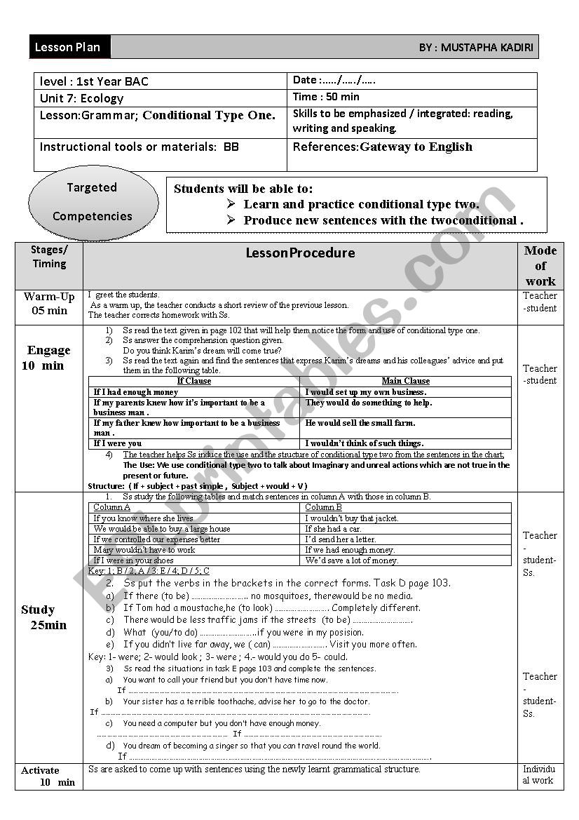 Conditional type Two worksheet