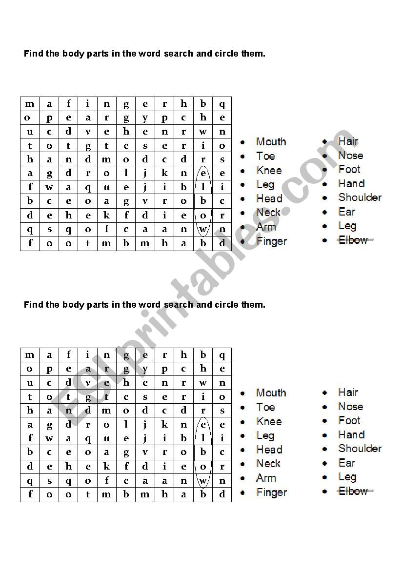 the body worksheet
