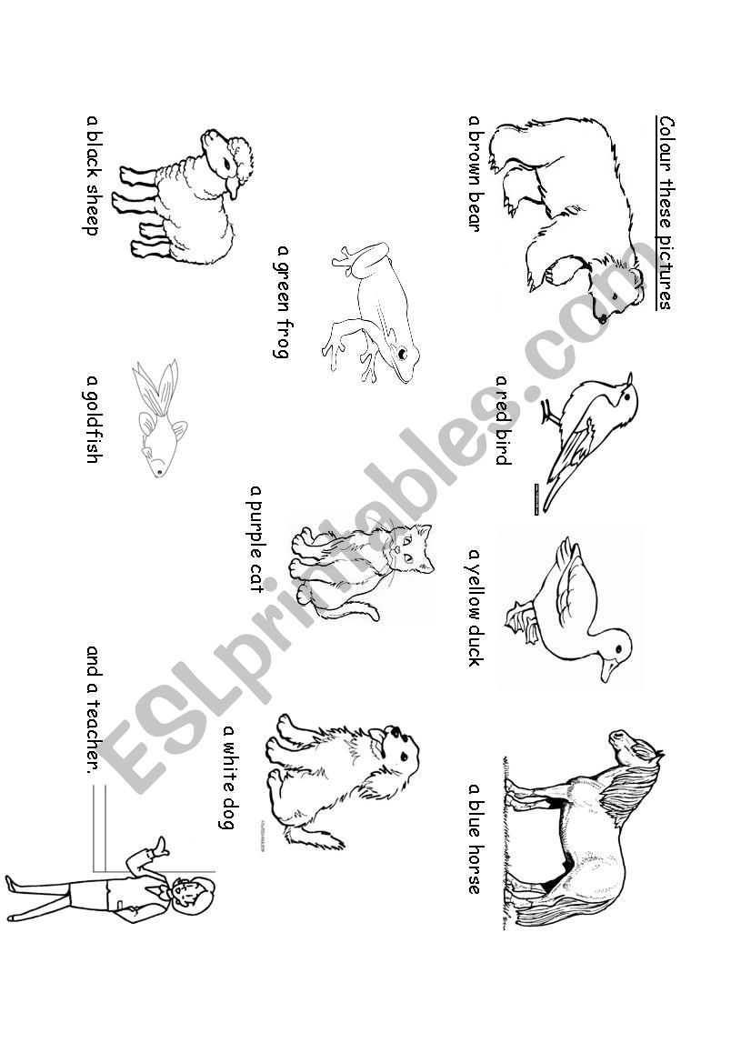 Colour these animals worksheet
