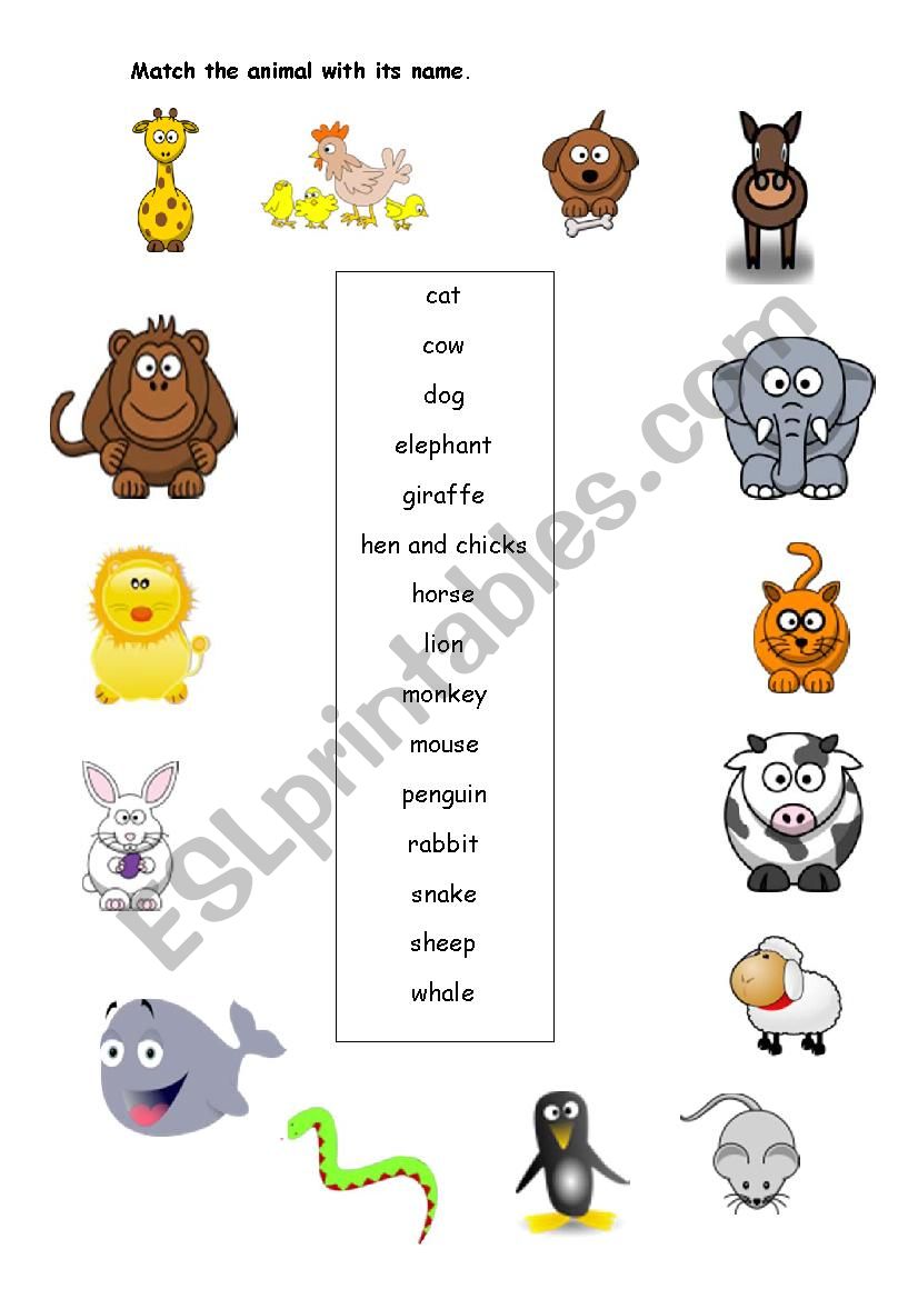 ANIMALS MATCHING worksheet