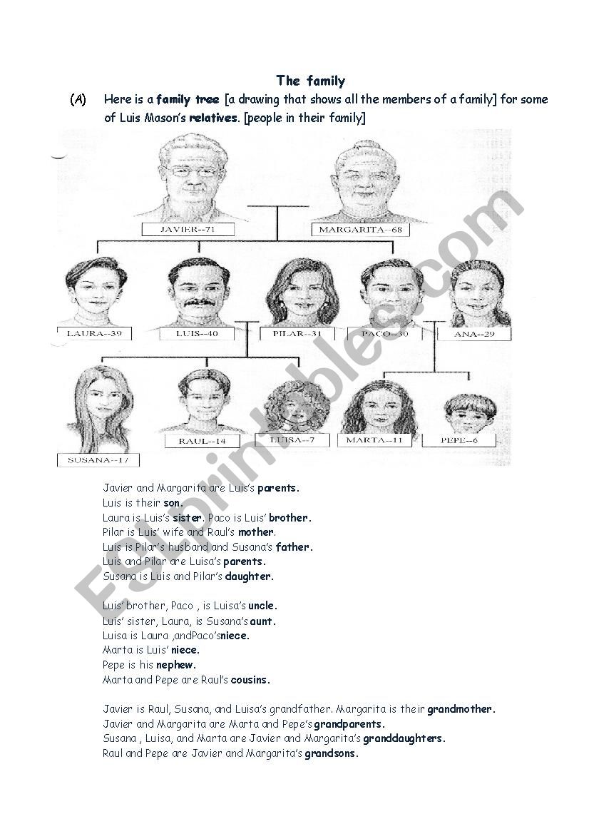 THE FAMILY worksheet