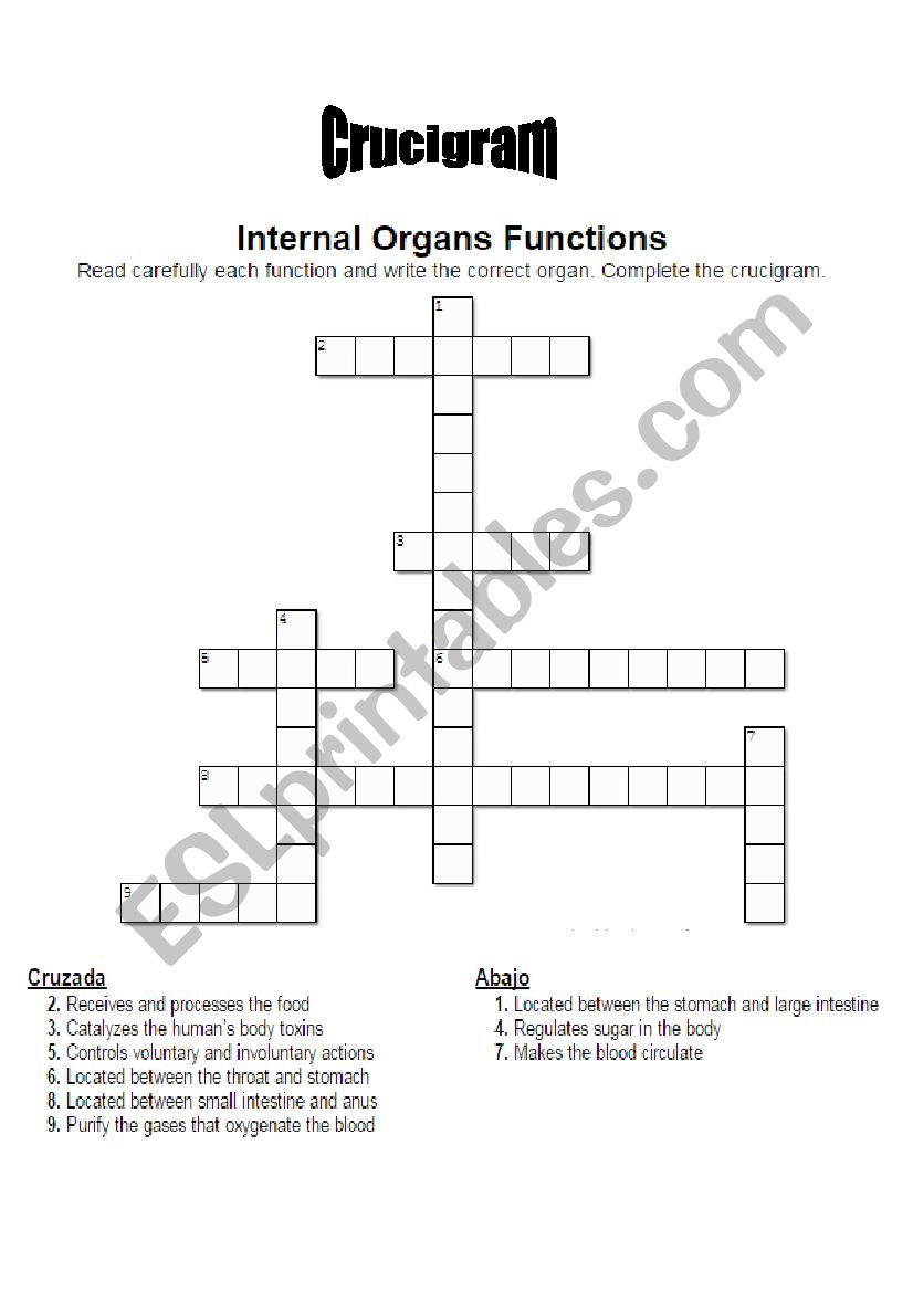 Internal Body Organs Crucigram