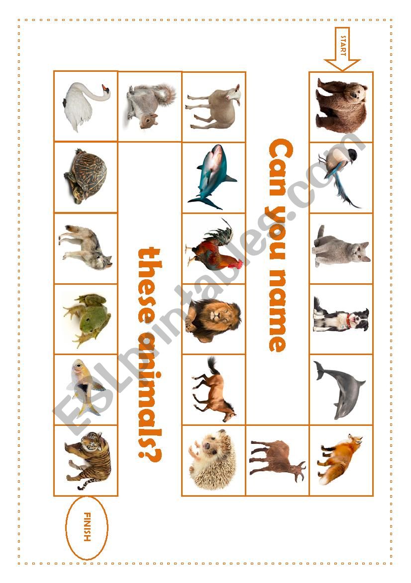 Animals Board Game worksheet
