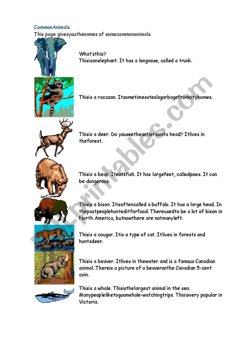 common animals worksheet