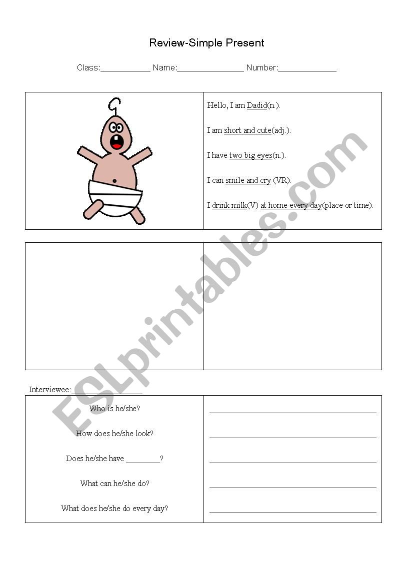 Simple Present Review worksheet