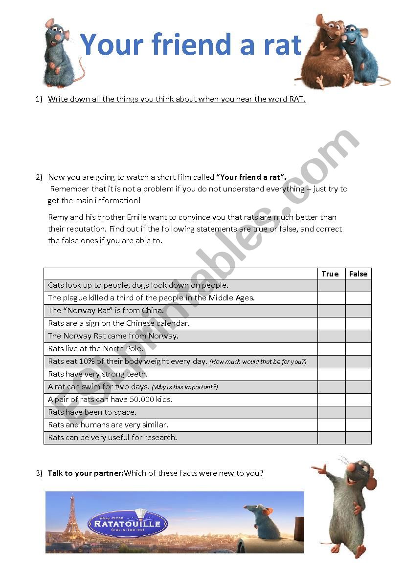 Your friend a rat worksheet