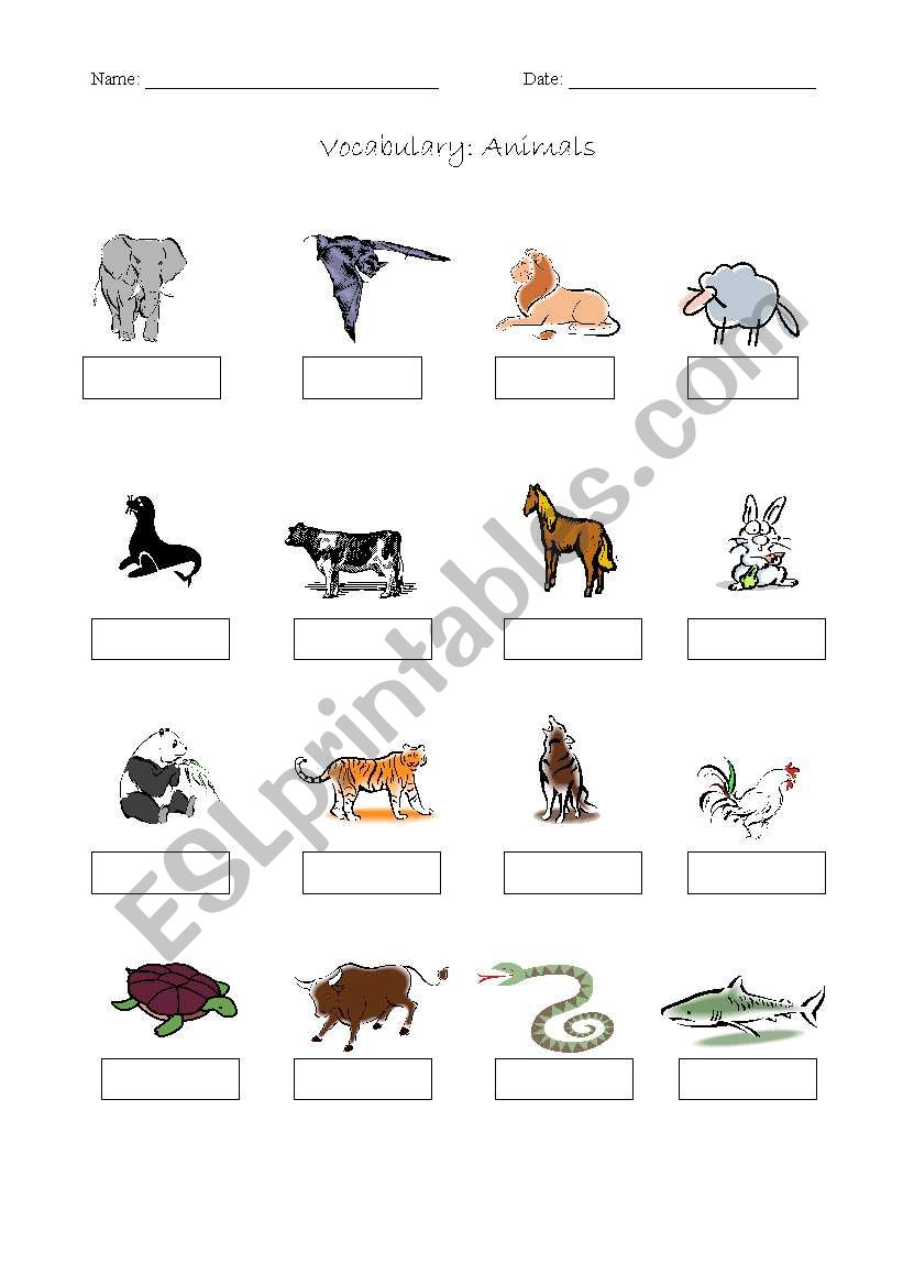 Vocabulary animals worksheet