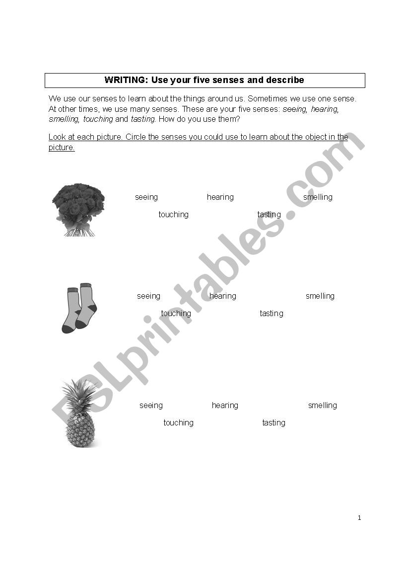 writing: the five senses worksheet