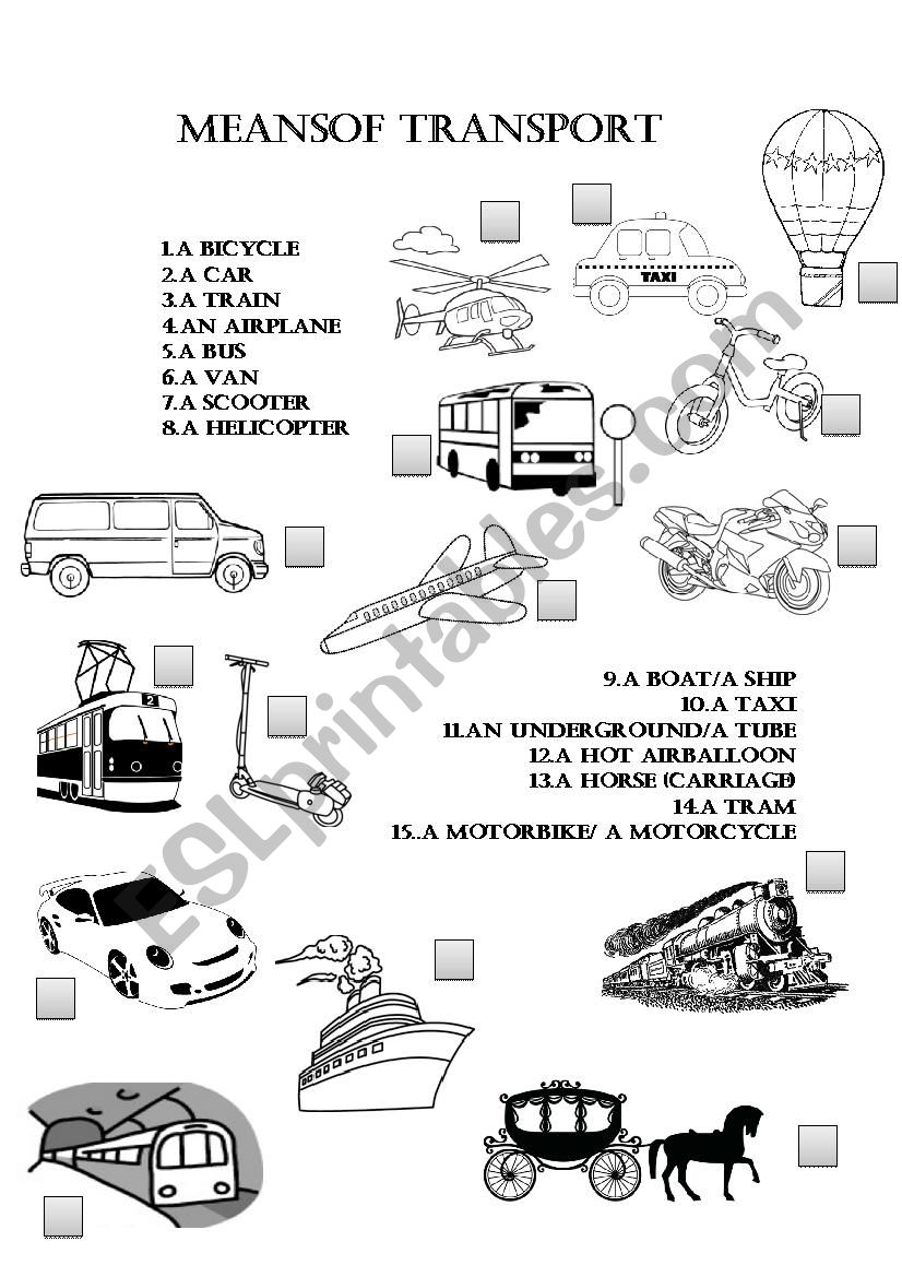 Means of transport worksheet