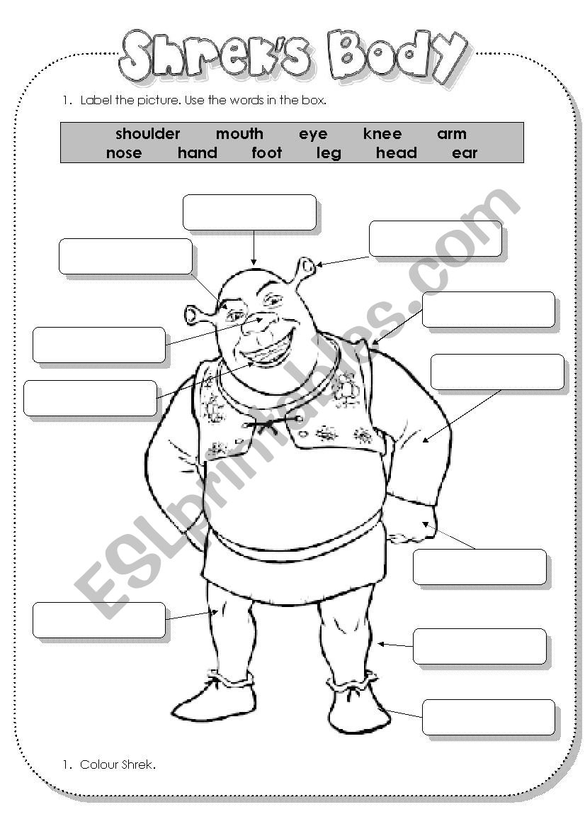 Shreks Body worksheet