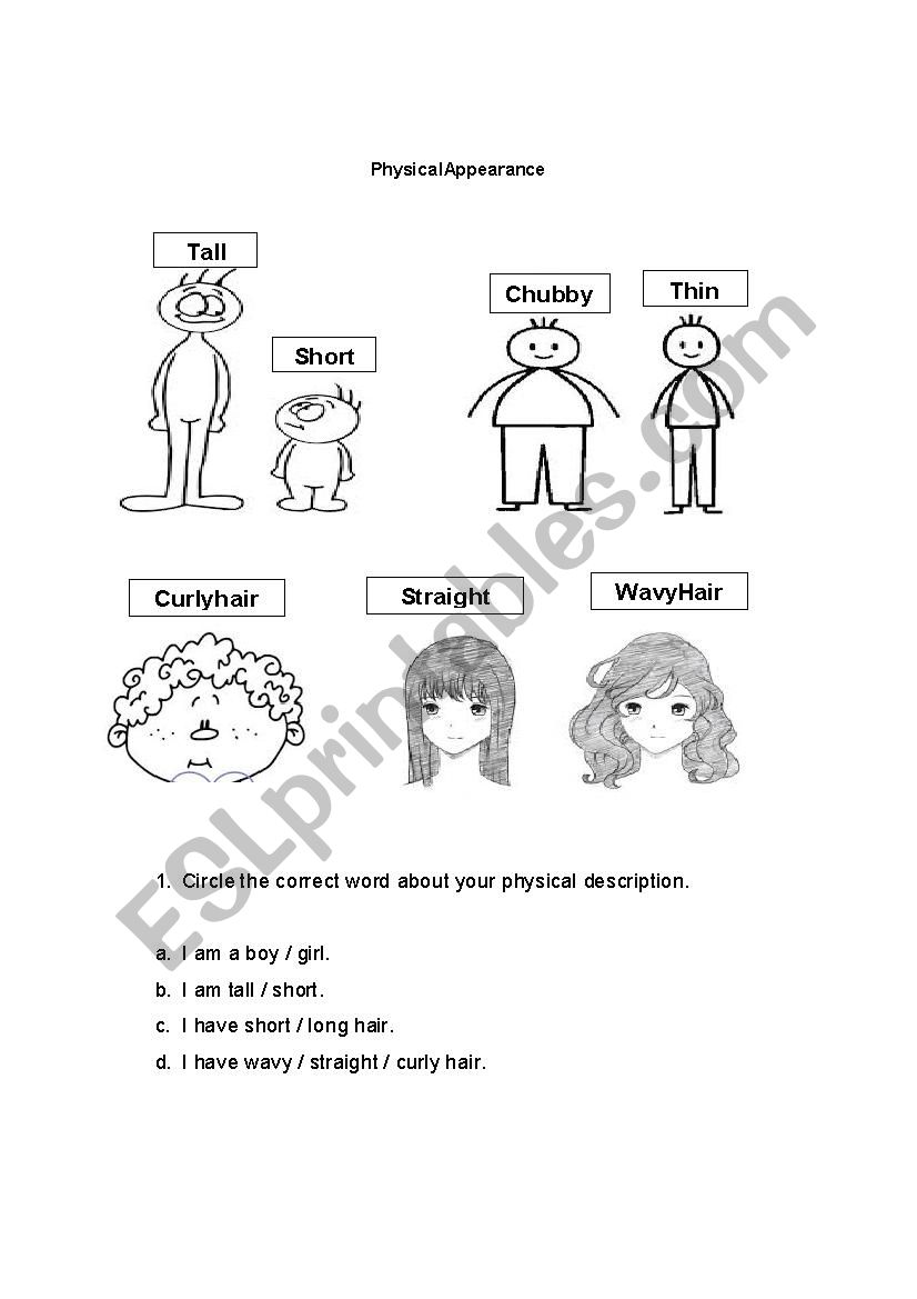 Physical Appearance worksheet