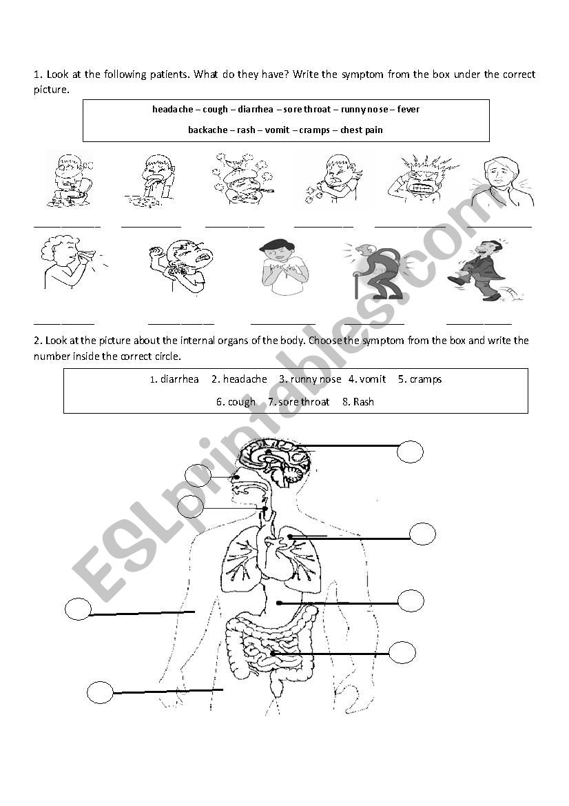 Internal Organs and Illnesses worksheet