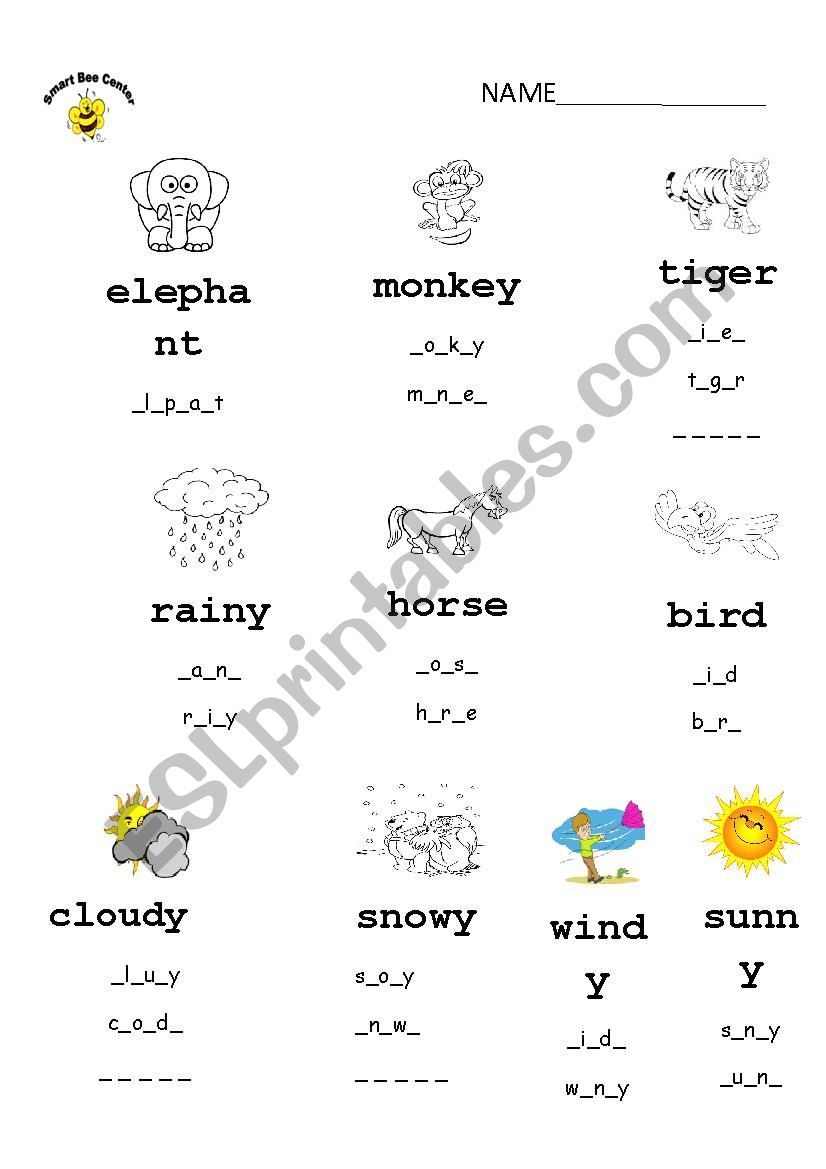 animals worksheet