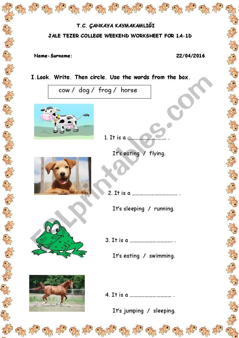 A simple and nice worksheet for young learners