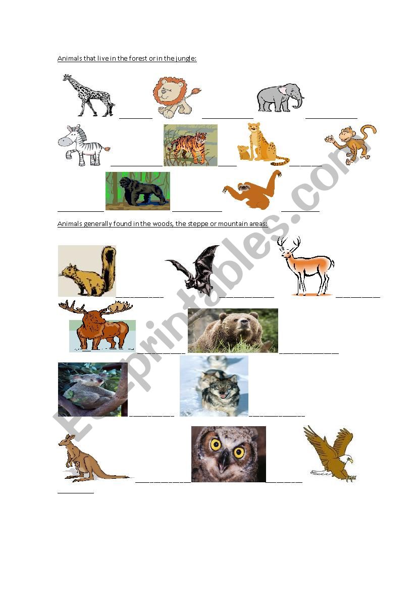 Animals Pictionary 2 worksheet