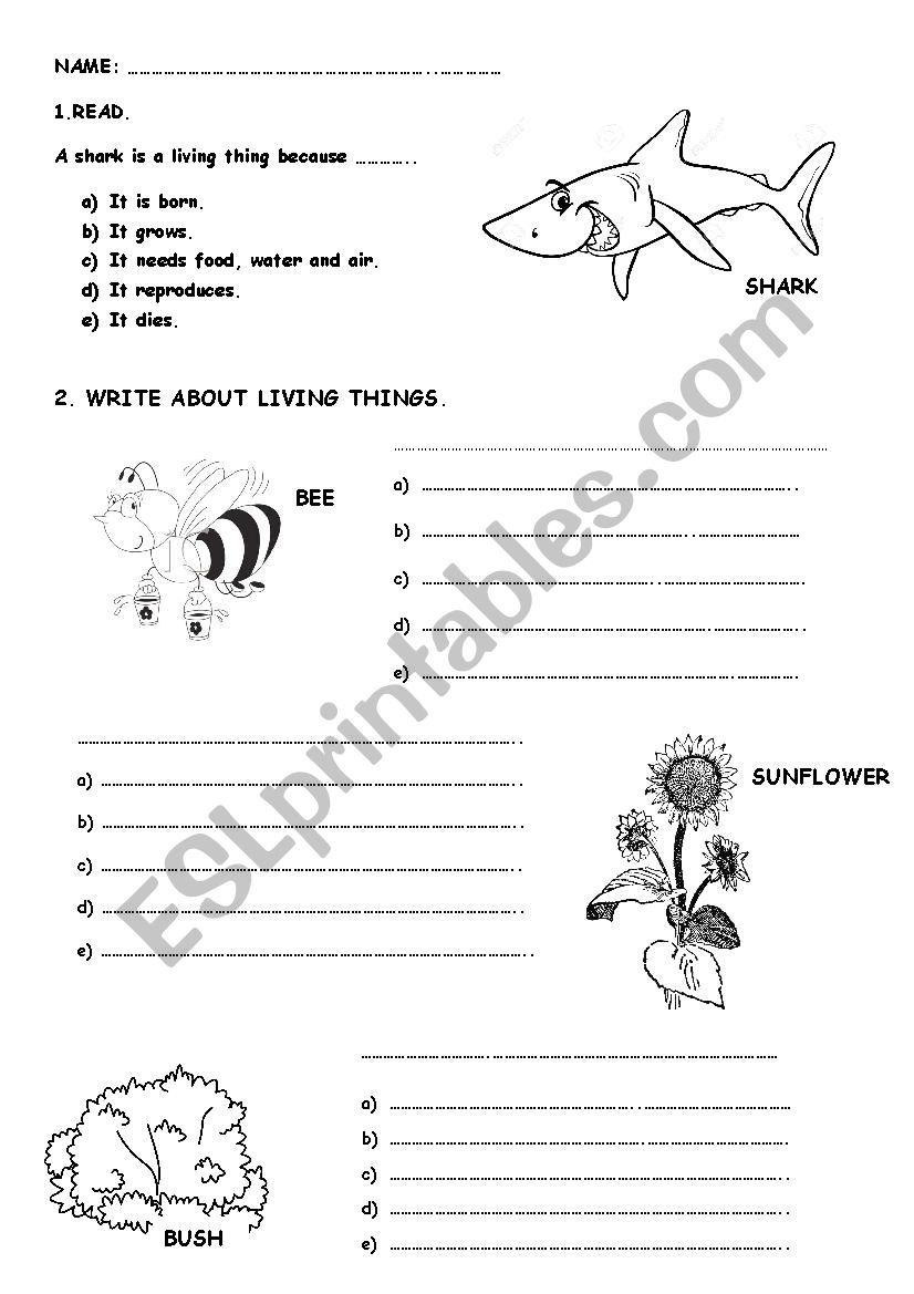 living things worksheet