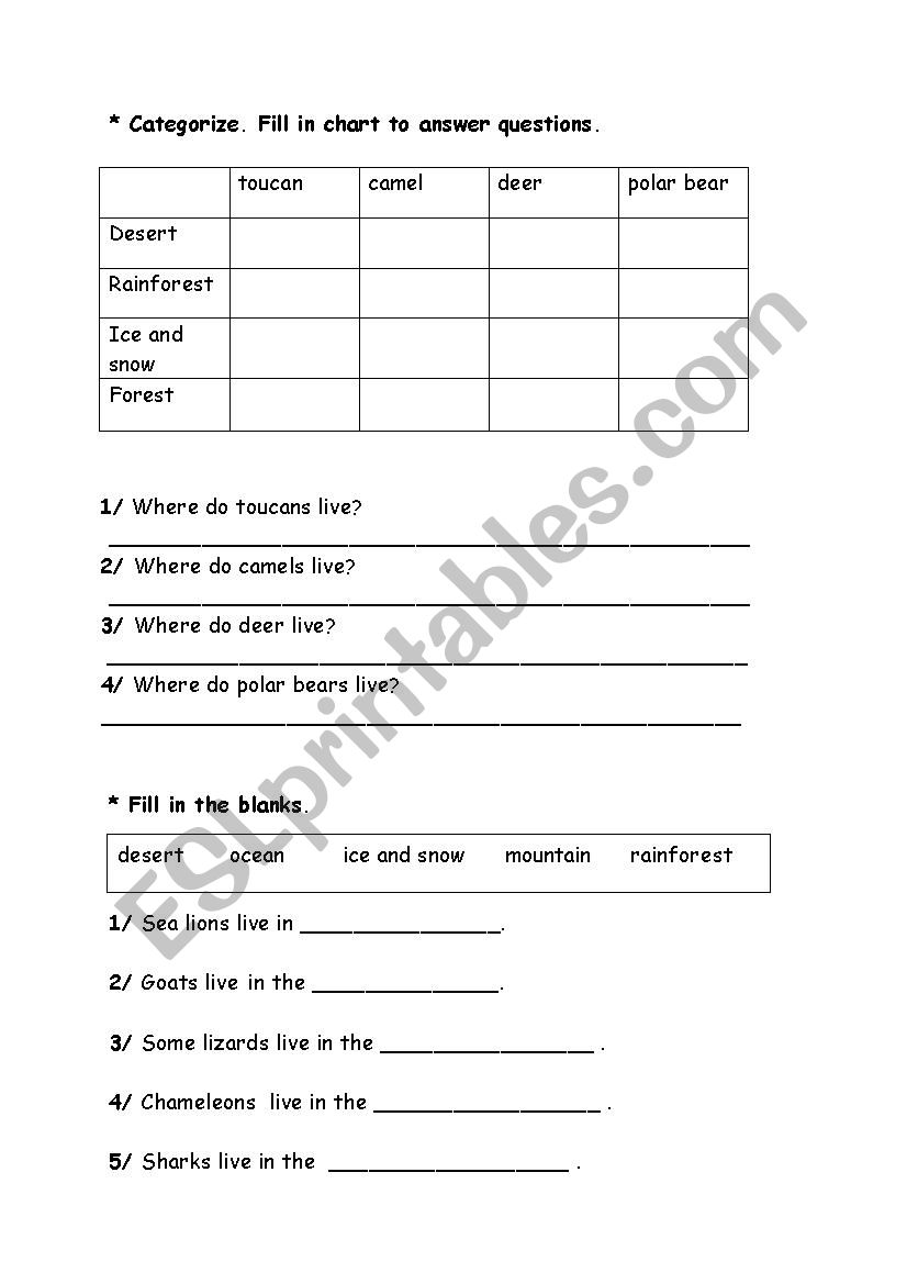 Animals worksheet
