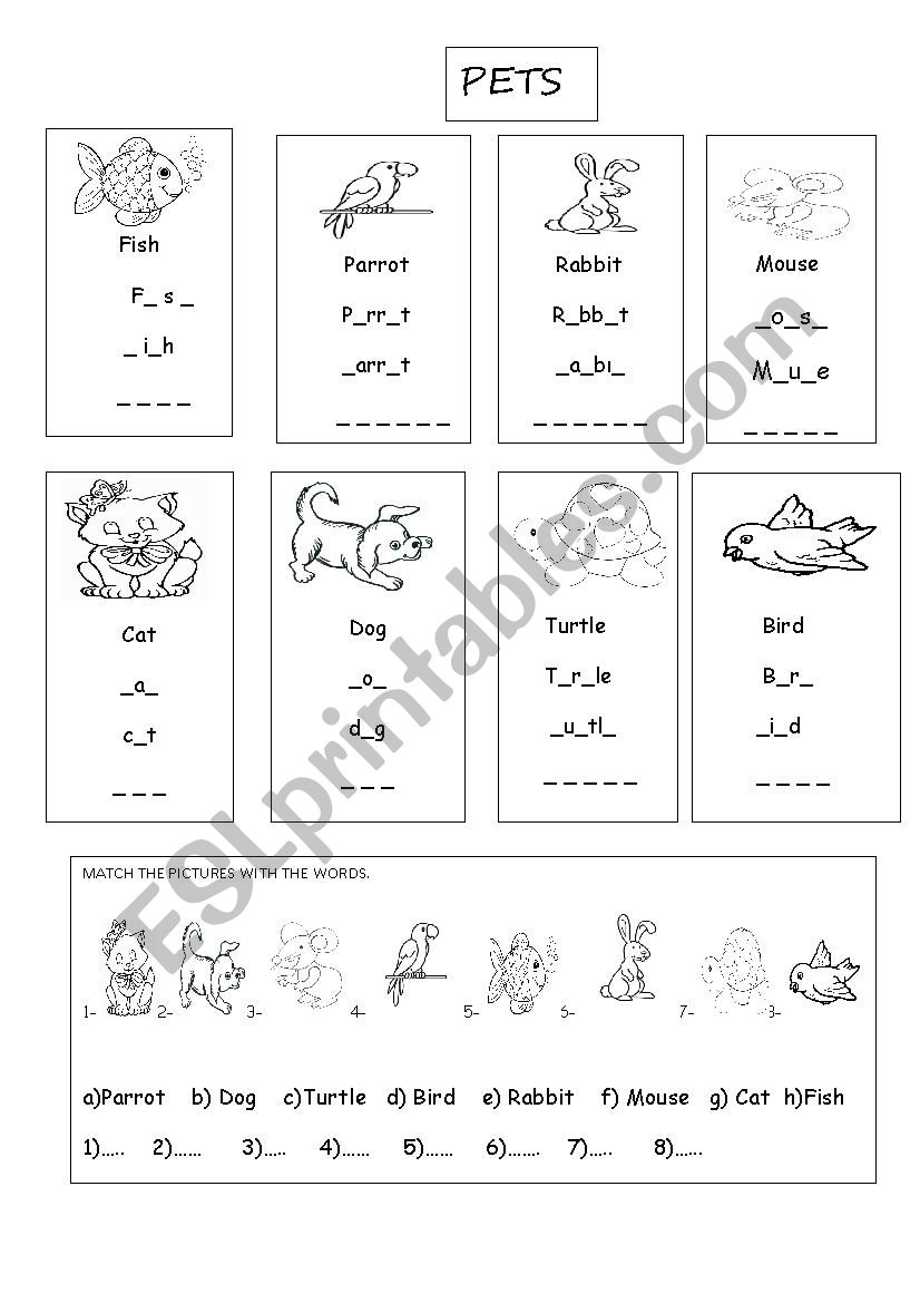 Pets worksheet