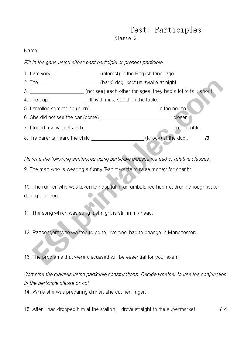 Test Participles worksheet