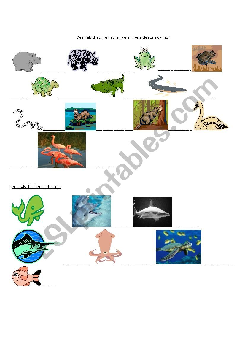 Animals Pictionary 3 worksheet